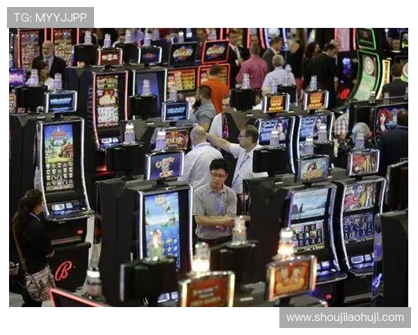 云顶老虎机有几个网站全面介绍不同平台的数量和特点